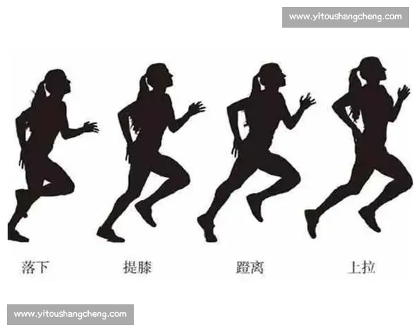 摔跤新星崛起之路揭秘运动背后的坚持与荣耀故事